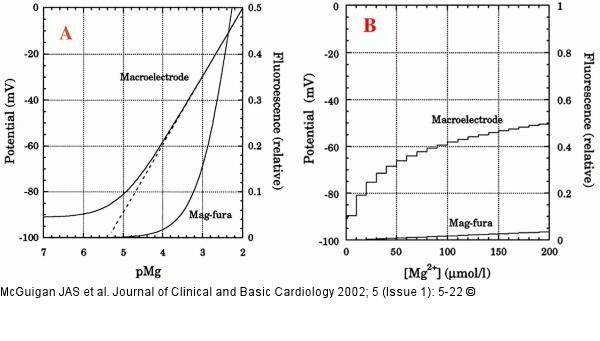 Magnesiummakroelektrode - Kalibrierung