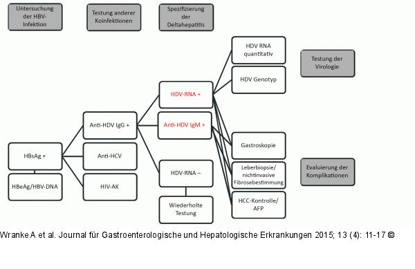 Diagnoseschema