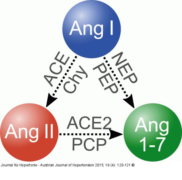 Angiotensine-Enzyme