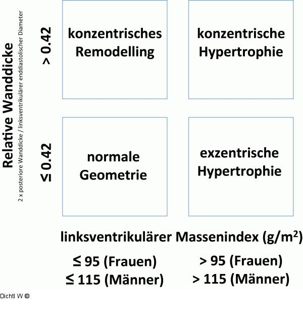 Linksventrikulre Geometrie