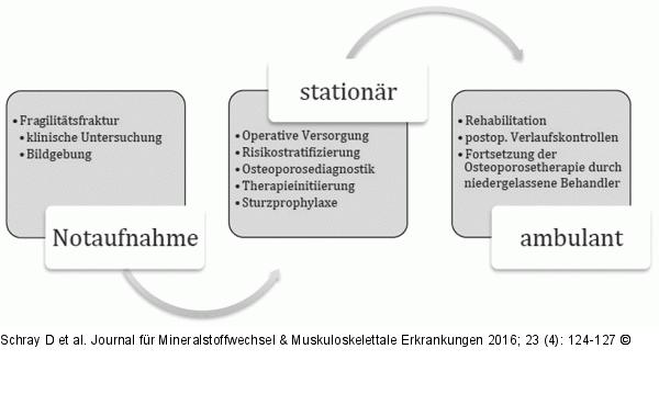 Organisation FLS