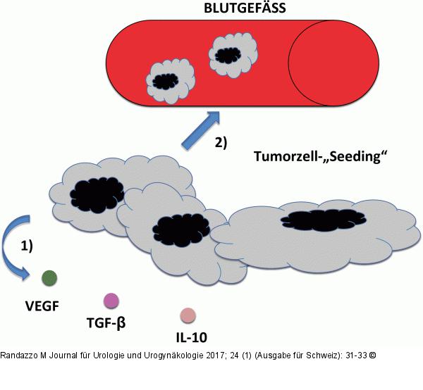 Biologische Wirkungen