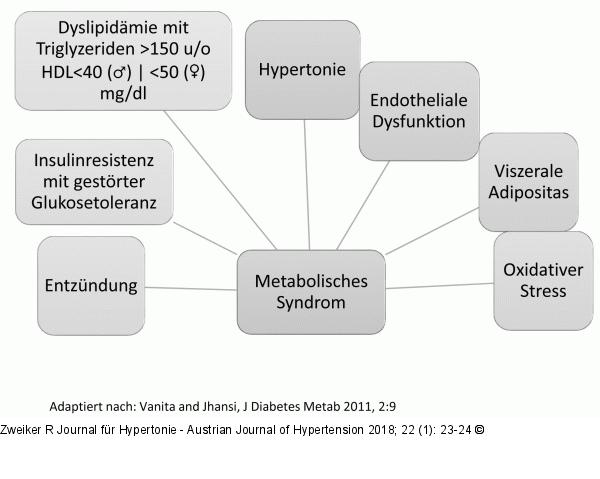Metabolisches Syndrom