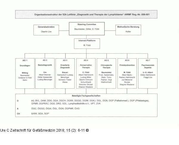 Organisationsstruktur
