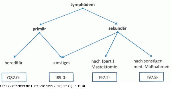 ICD10-Kodierung des Lymphdems