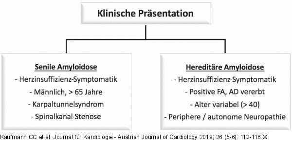ATTR-Amyloidose-Subtypen