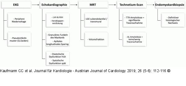 ATTR-Amyloidose