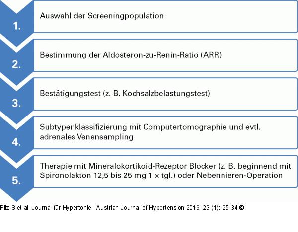 Diagnostik und Therapie