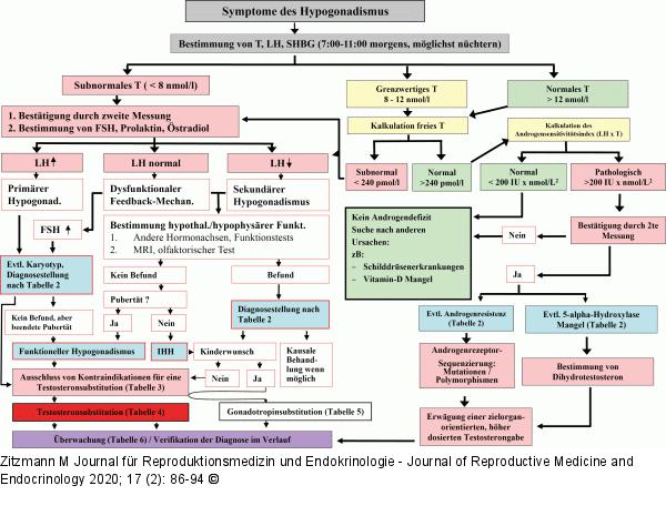 Symptome des Hypogonadismus