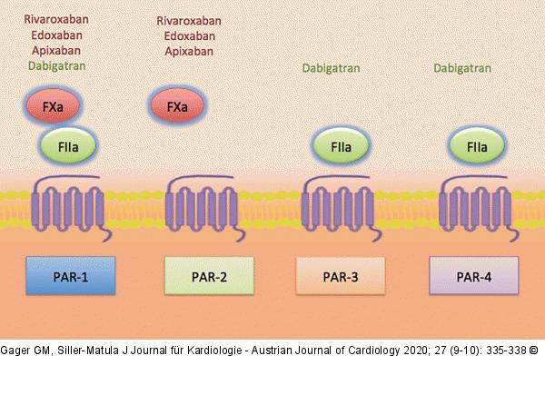 Interaktion PARs - NOAKs