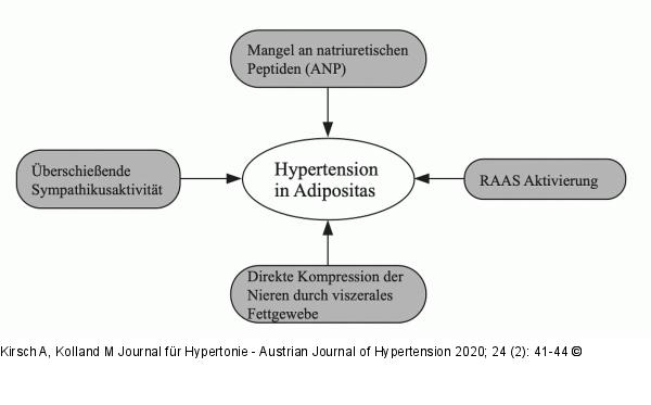 Hypertonie bei Adipositas