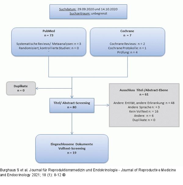 Systematisierte Literaturrecherche