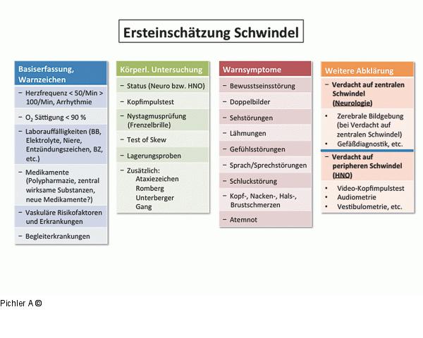 Ersteinschtzung Schwindel