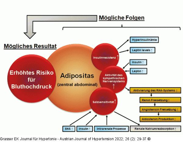 Adipositas - Risiko fr Bluthochdruck
