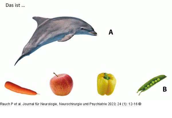 Testschablone