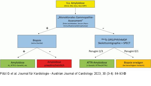 Kardiale Amyloidose