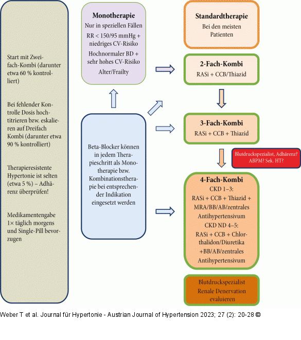 Therapiealgorithmus