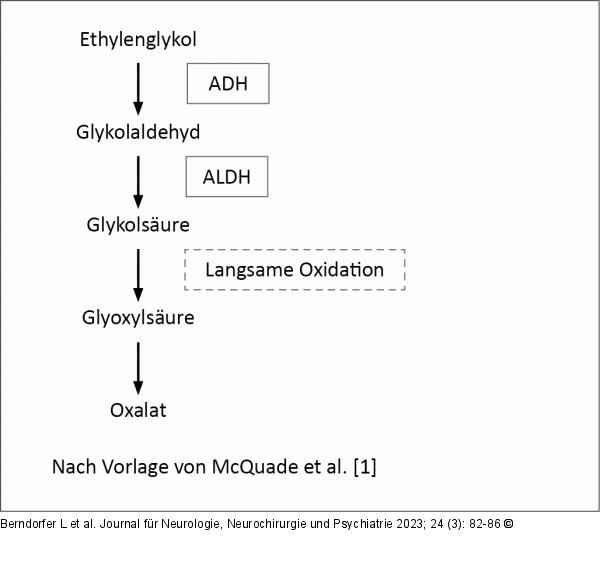 Metabolismus