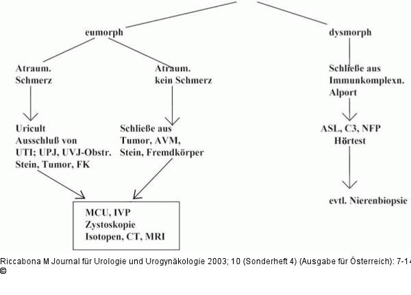 Makrohmaturie - Leitlinie