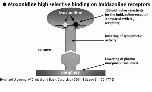 Moxonidin - Imidazolinrezeptor