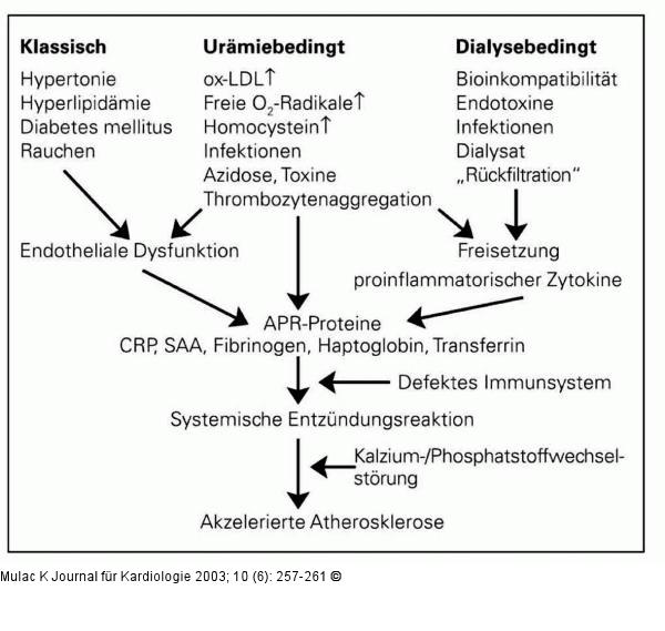 Atherosklerose - Risikofaktoren