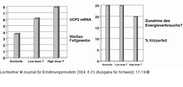 Uncoupling Protein - Topiramat