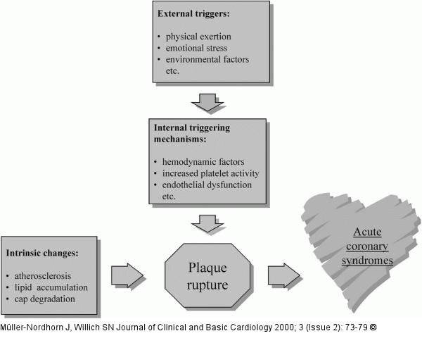 Auslser fr akute Koronarsyndrome