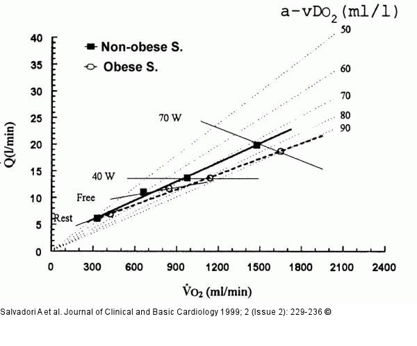 Cardiac Output - Sauerstoffverbrauch - Adipositas