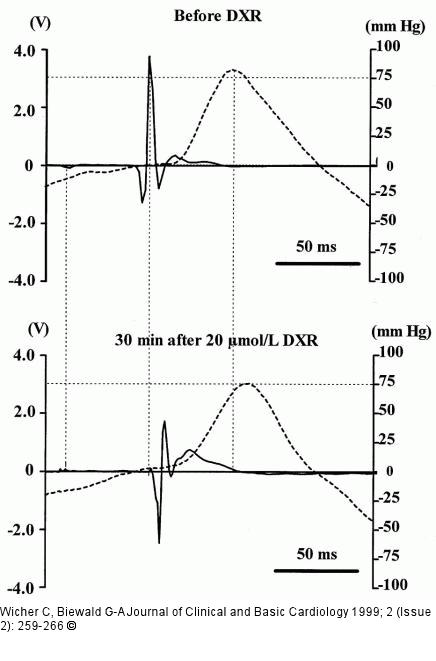 Doxorubicin - Angiotensin-II-Modulation