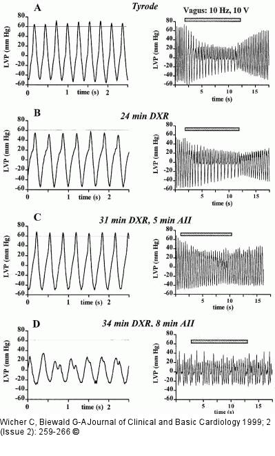 Doxorubicin - Angiotensin-II-Modulation