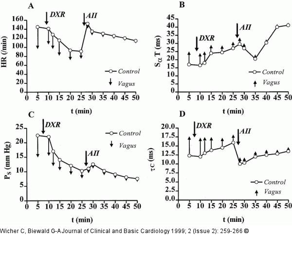 Doxorubicin - Angiotensin-II-Modulation