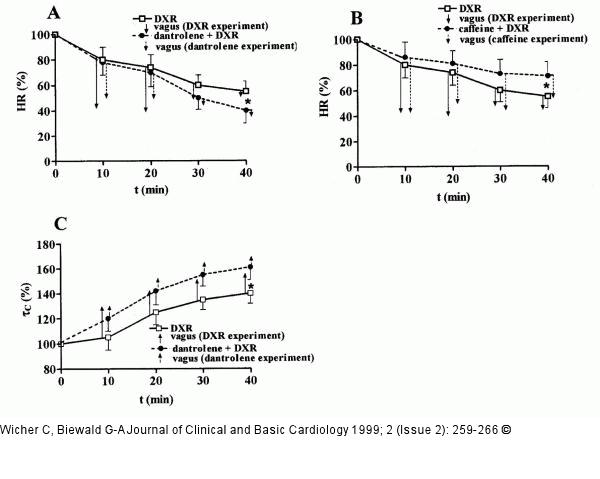 Doxorubicin - Angiotensin-II-Modulation
