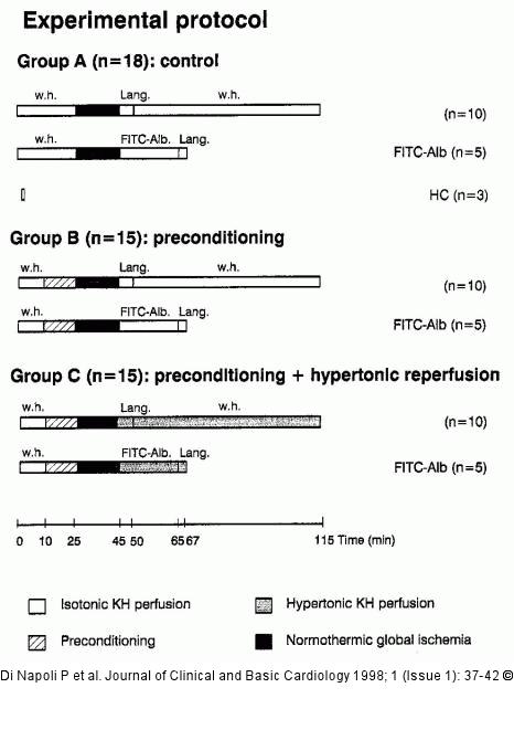 Preconditioning - koronare Mikrozirkulation
