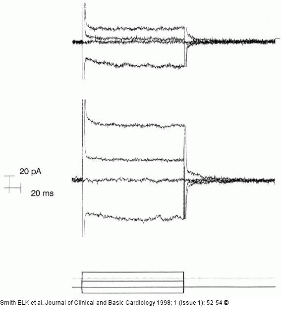 VEGV und ET-3 - Gefpermeabilitt