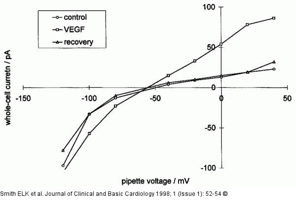 VEGF und ET-3 - Gefpermeabilitt