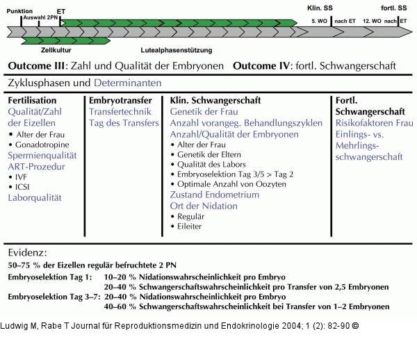 IVF-Behandlungsphasen - Outcome