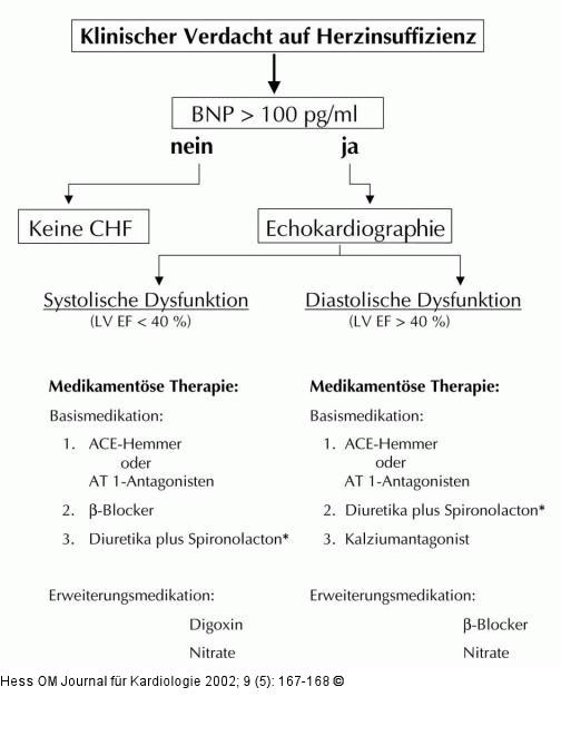 Herzinsuffizienz - Abklrungsalgortithmus