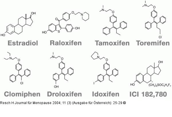 Chemische Struktur - Estradiol - SERMS