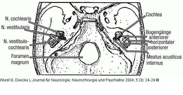 Schlfenbein - Bogengnge