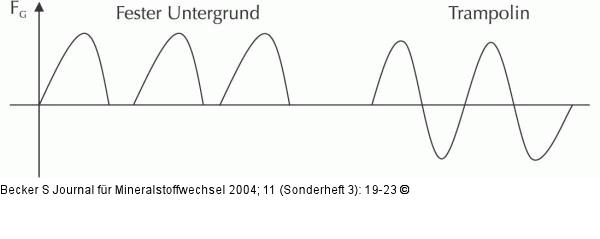 Trampolin - Belastungscharakteristika