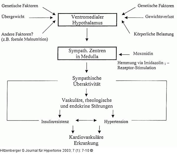 Metabolisches Syndrom - sympathische beraktivitt