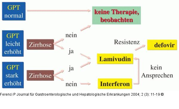 Hepatitis C - Therapie