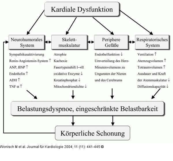 Chronische Herzinsuffizienz - Vernderung - Pathophysiologie