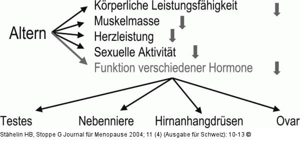 Alter - Hormonale nderungen