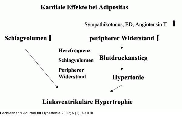 Adipositas - kardiale Effekte