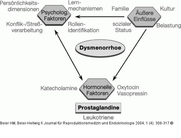 Dysmenorrhoe - Pathogenese