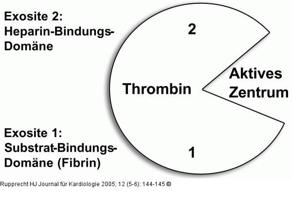 Thrombin-Bindungs-Domnen