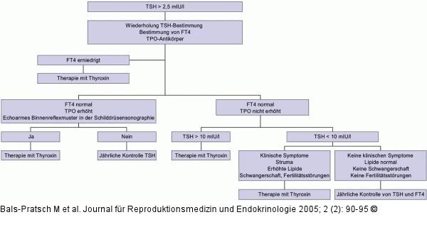 Hypothyreose - Therapie
