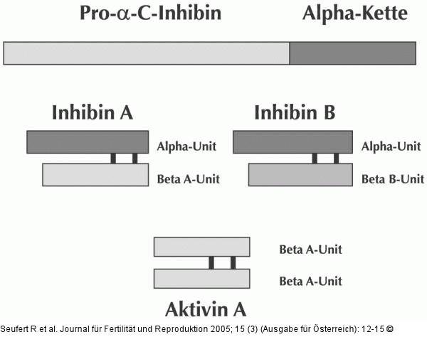 Inhibin - Aktivin