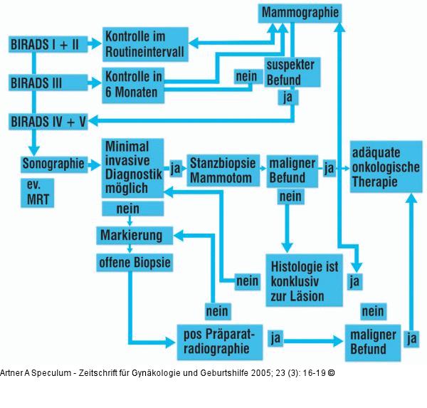 Leitlinien - Mammadiagnostik